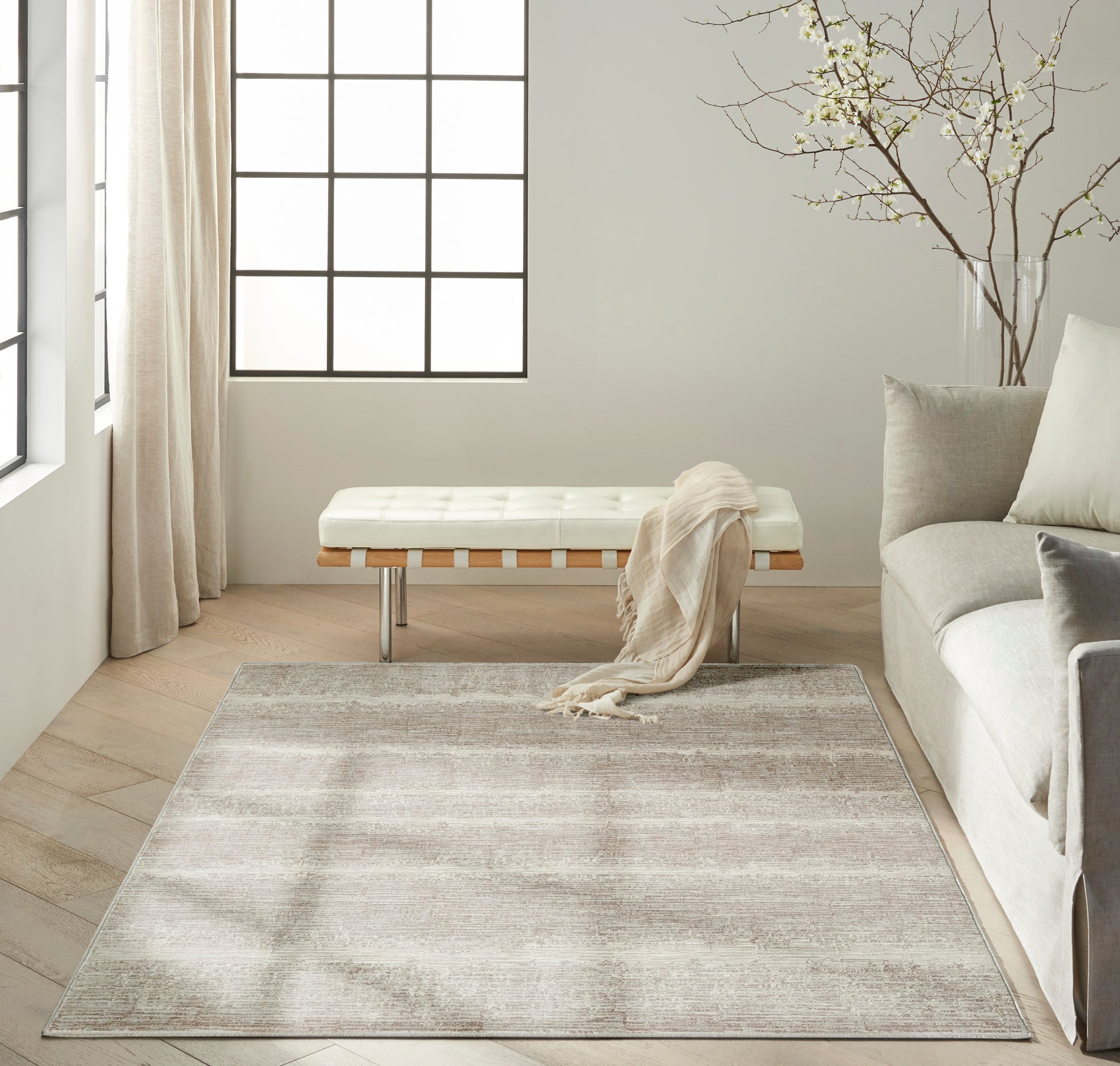 Soft beige area rug (4' x 6') with a subtle gray wash, low-pile, contemporary living room styling.