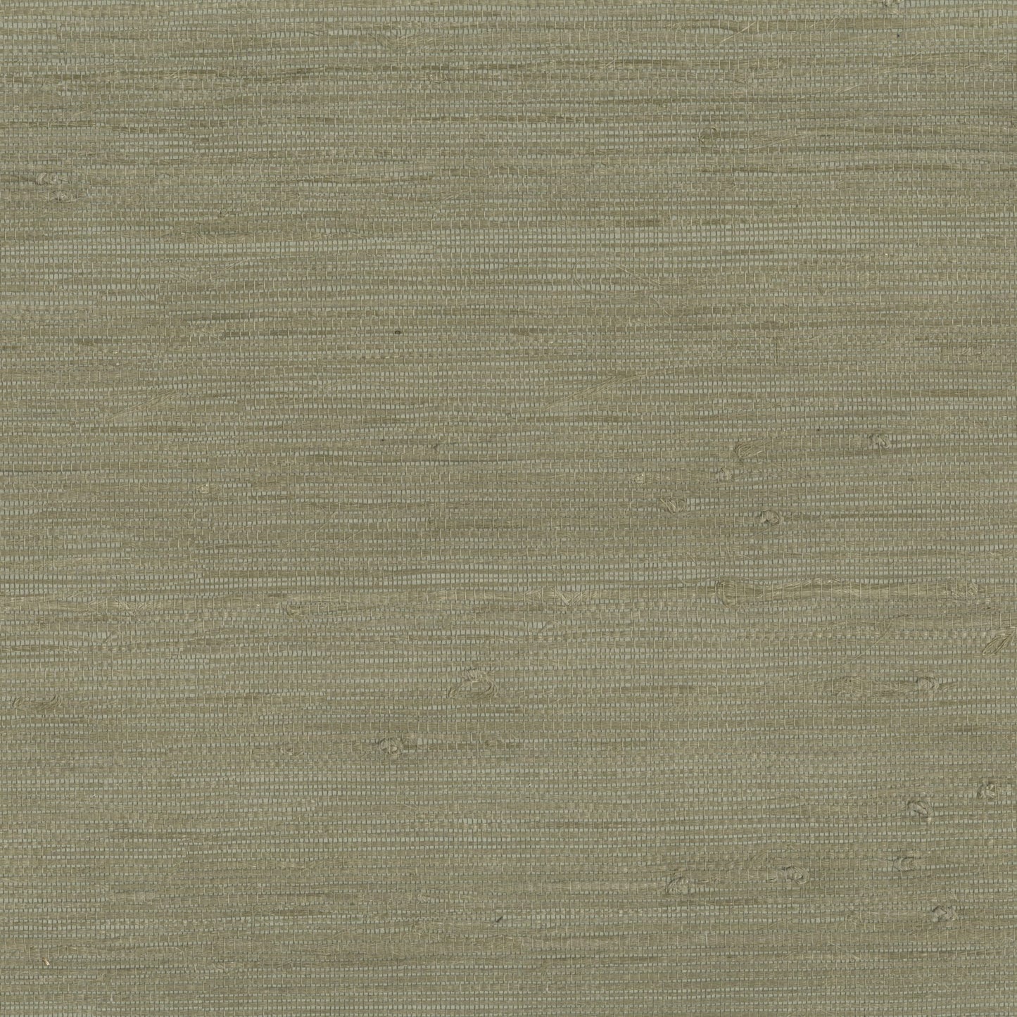 JF Fabrics -Wallpaper 9025 75 Wallpaper Green  Texture,Grasscloth,Specialty - 8116275 WS121