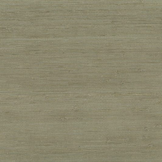 JF Fabrics -Wallpaper 9025 75 Wallpaper Green  Texture,Grasscloth,Specialty - 8116275 WS121