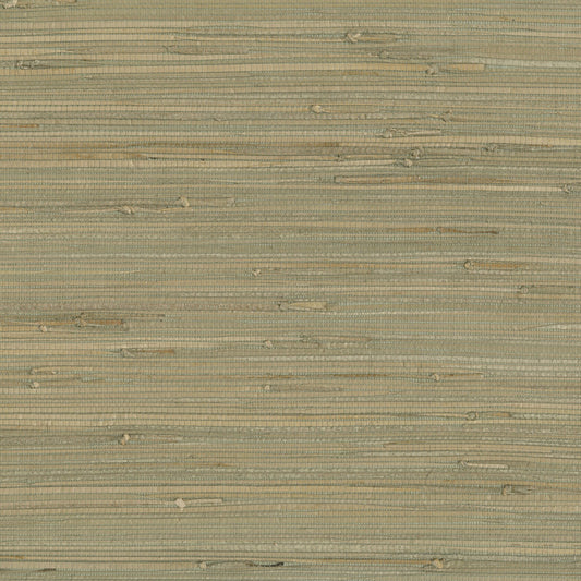 JF Fabrics -Wallpaper 9026 73 Wallpaper Green  Texture,Grasscloth,Specialty - 8116373 WS121