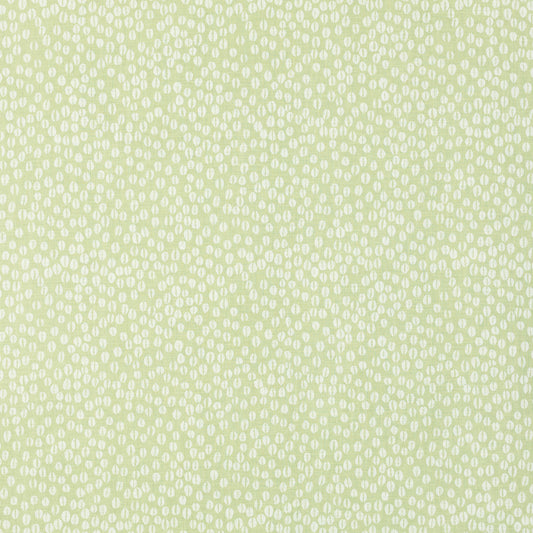 SCHUMACHER  RAOUL TEXTILES COWRIE PRINTS PRINTS OLIVINE   - 902V69