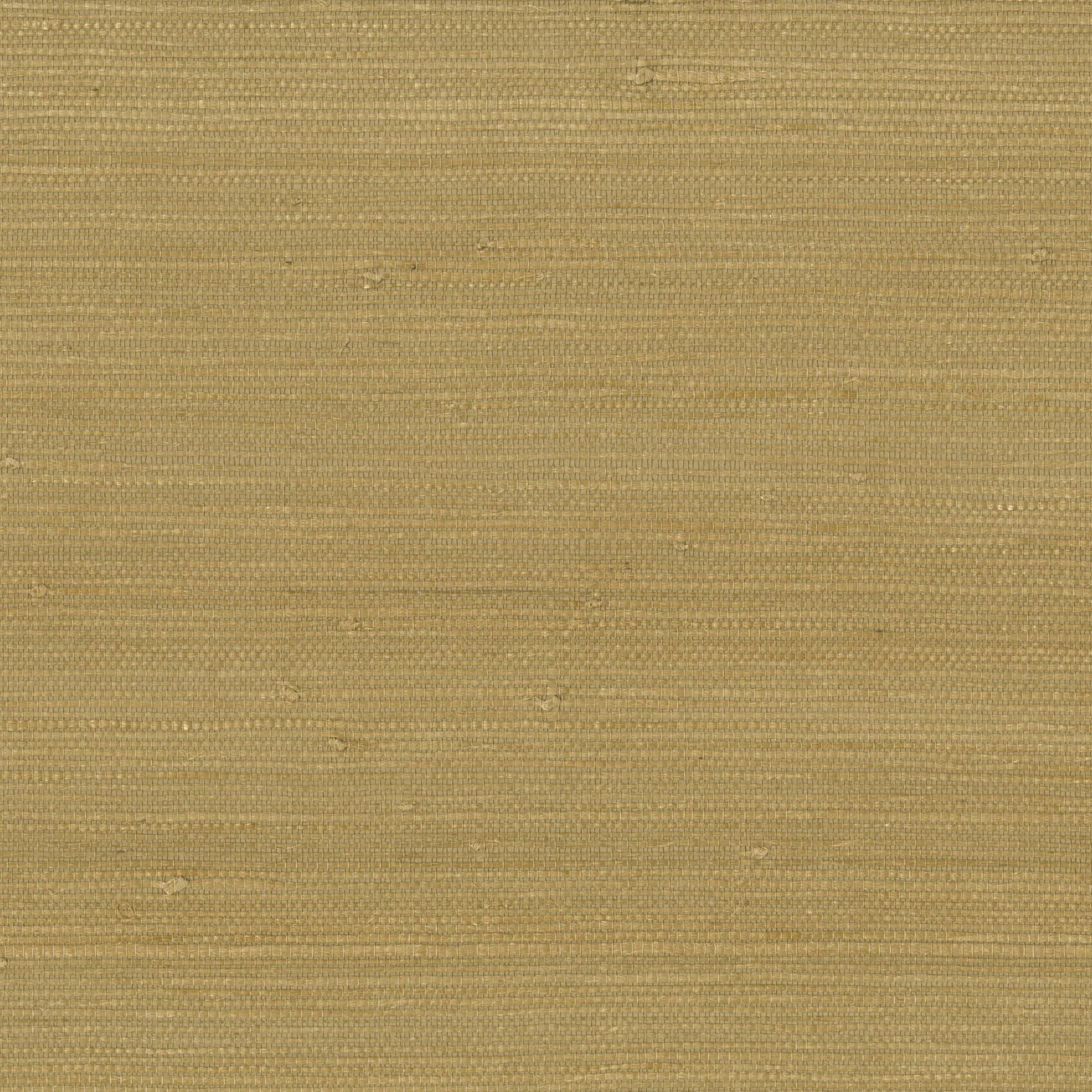 Golden beige grasscloth wallpaper with a woven texture, visible natural fibers, and subtle horizontal stripes.