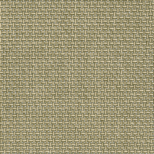 JF Fabrics -Wallpaper 9077 76 Wallpaper Green  Texture,Grasscloth,Specialty - 8136276 WS121