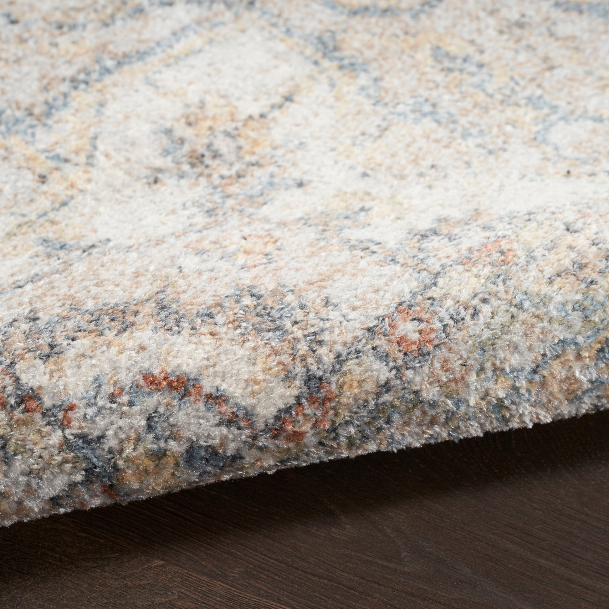 Close-up of a plush, light-colored area rug with blue, beige, and peach patterns on a dark wood floor.