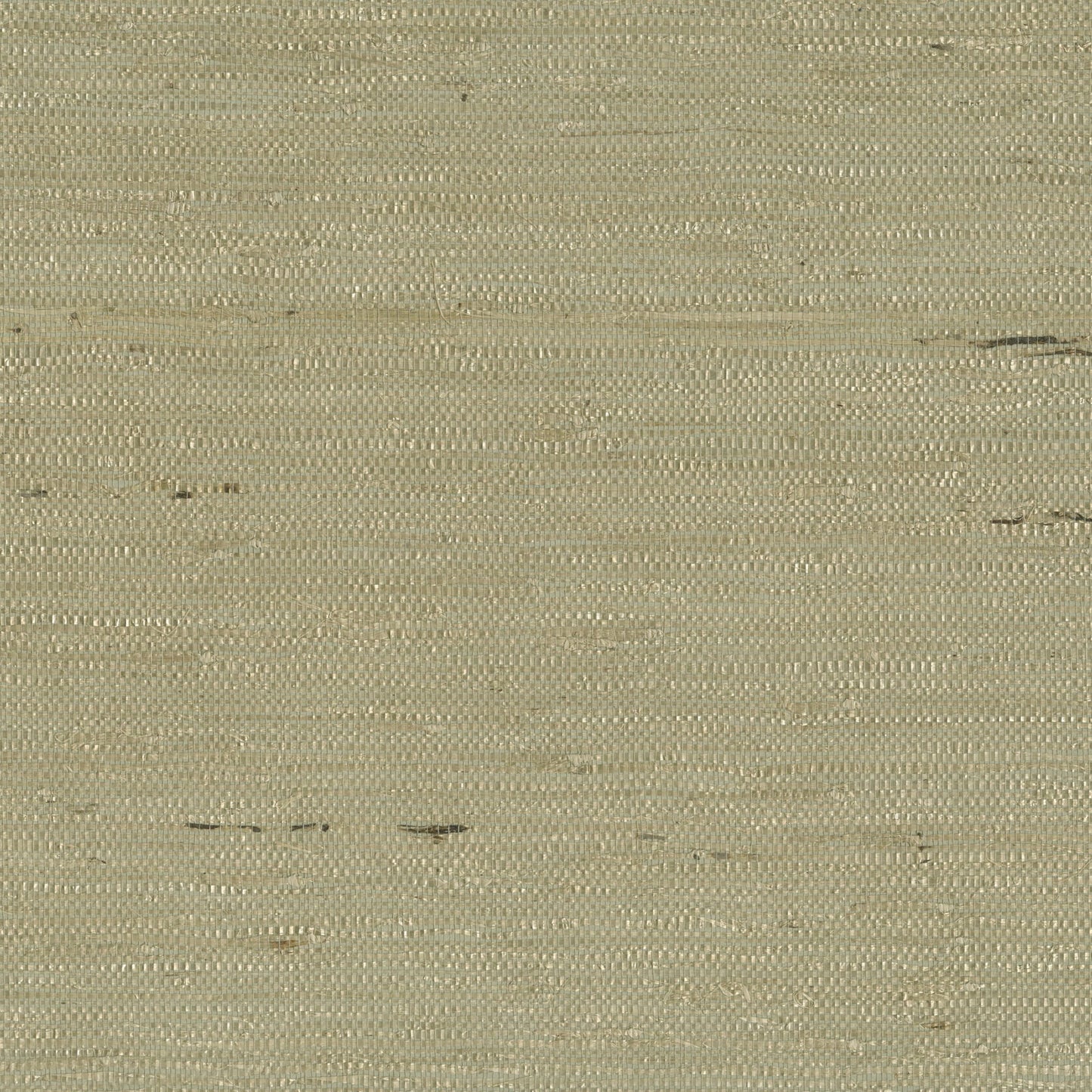 JF Fabrics -Wallpaper 9098 70 Wallpaper Green  Texture,Grasscloth - 8138370 WS121