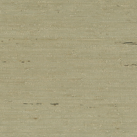 JF Fabrics -Wallpaper 9098 70 Wallpaper Green  Texture,Grasscloth - 8138370 WS121