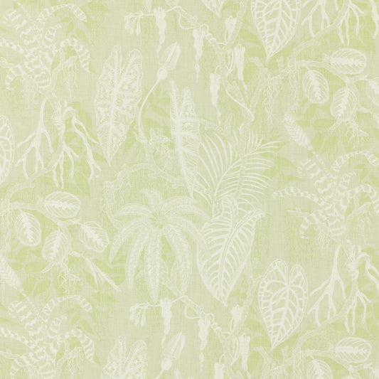 SCHUMACHER  RAOUL TEXTILES FLORESTA PRINTS PRINTS THYME   - 912V53