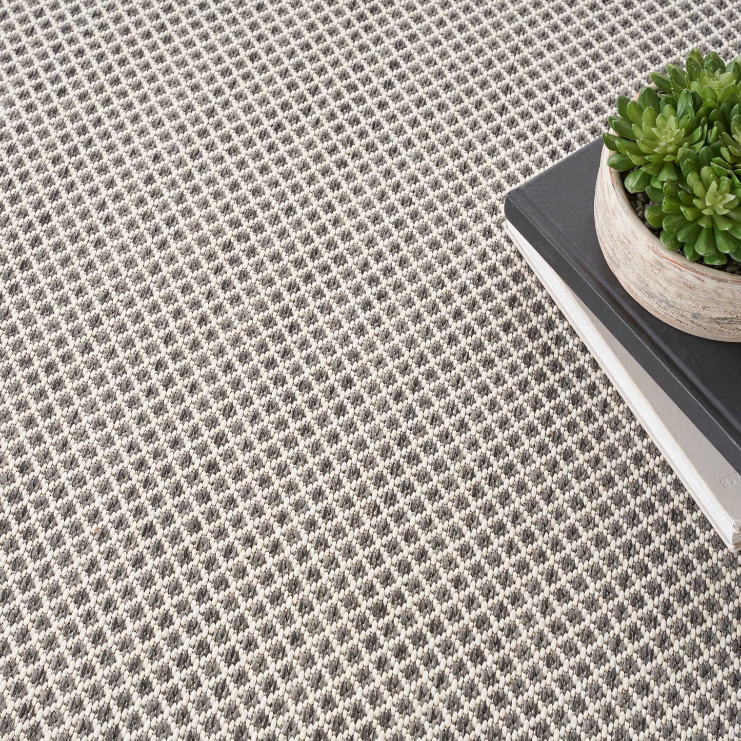Beige-brown woven rug with a tiny pattern; green succulent in a beige pot sits on stacked black and white books.