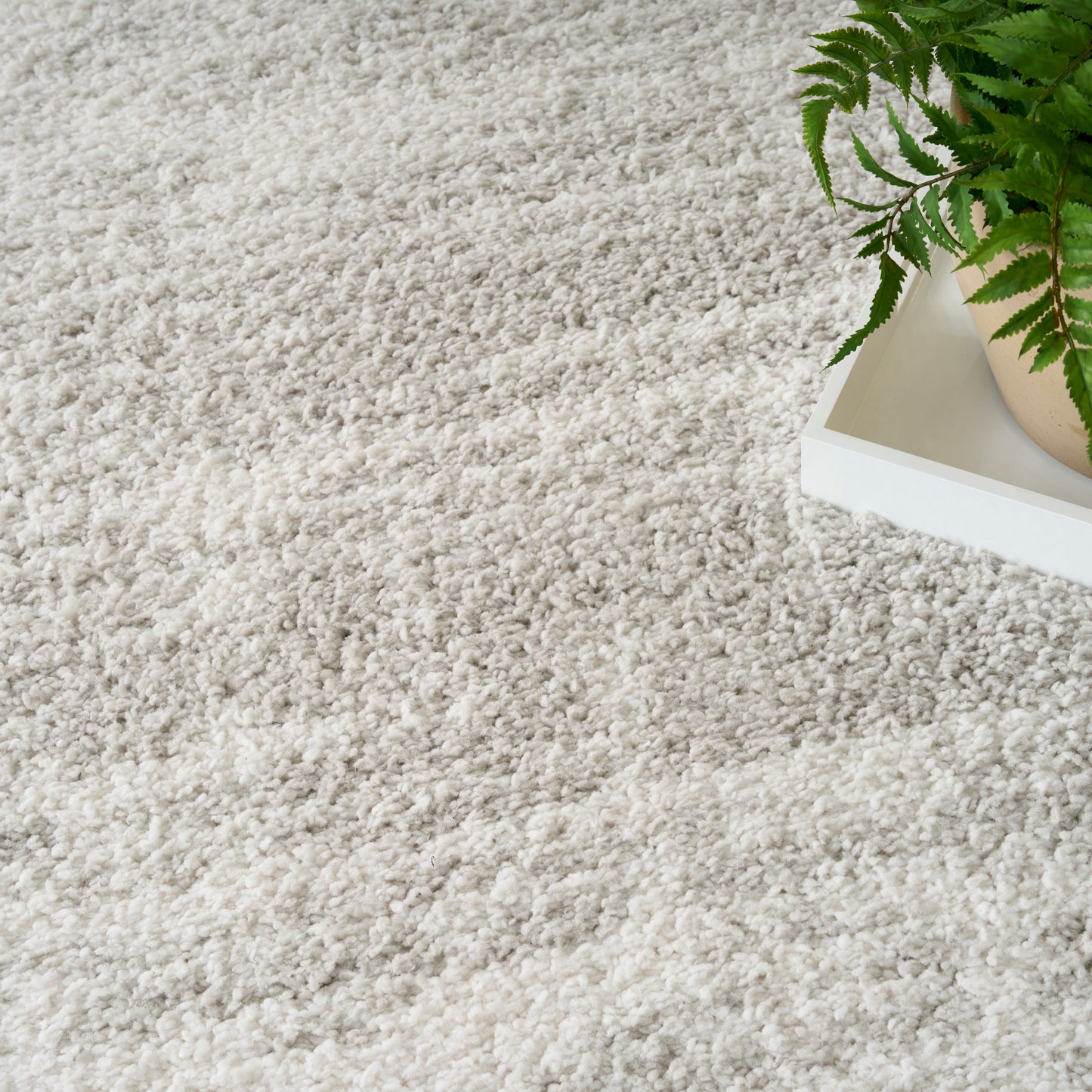 Cream shag rug with a white rectangular tray and a green potted fern.