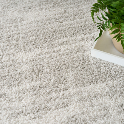 Cream shag rug with a white rectangular tray and a green potted fern.