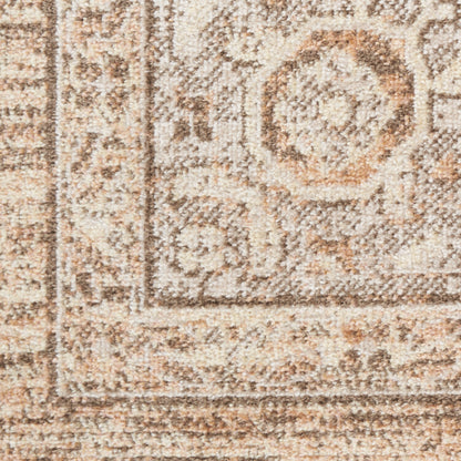 Beige and taupe oriental rug close-up with a floral medallion border and textured tufted pile.
