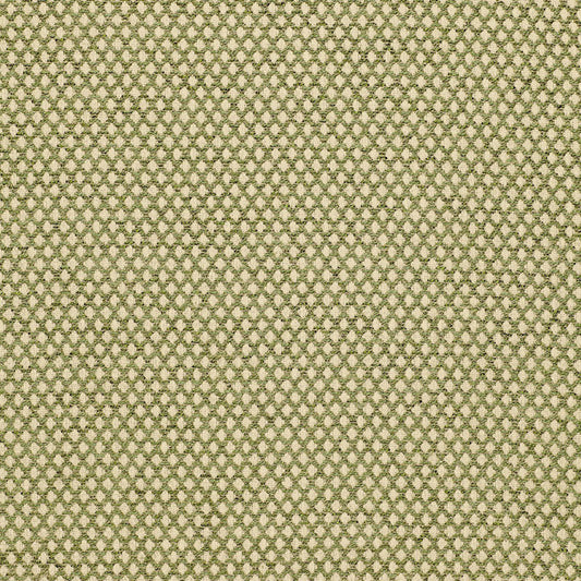 SCHUMACHER  CHROMA LOSANGE BOUCL?? BOUCLE BOUCLE LEAF   - 94854