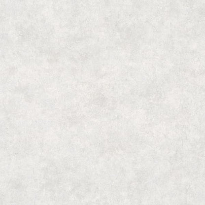 Light gray concrete-textured wallpaper with subtle mottling, a neutral backdrop.
