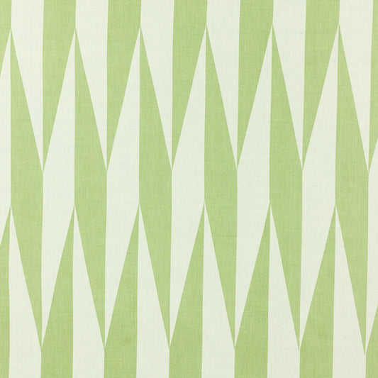 SCHUMACHER  RAOUL TEXTILES JAKO PRINTS PRINTS GECKO   - 955V70