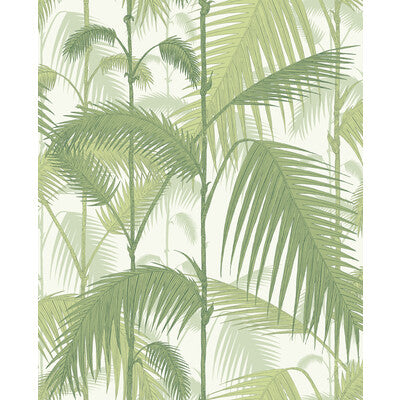 COLE & SON PALM JUNGLE --BOTANICAL & FLORAL- FOREST   - 95/1001.CS.0