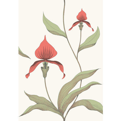 COLE & SON ORCHID --BOTANICAL & FLORAL- PLUM   - 95/10054.CS.0