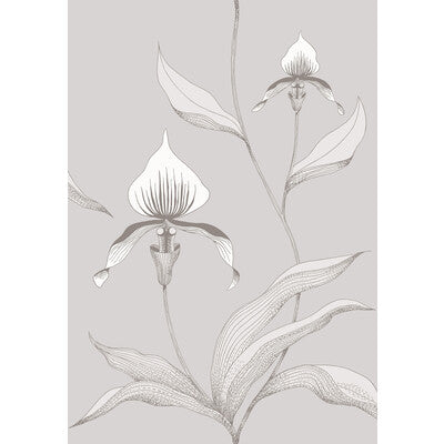 COLE & SON ORCHID --BOTANICAL & FLORAL- PLASTER   - 95/10055.CS.0