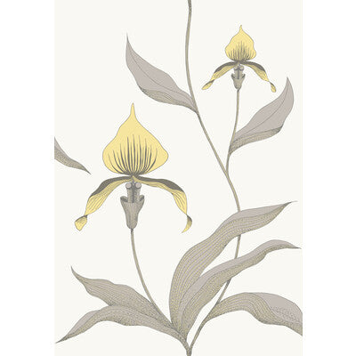 COLE & SON ORCHID --BOTANICAL & FLORAL- EMERALD   - 95/10057.CS.0