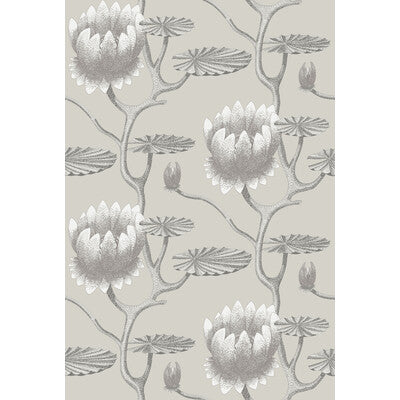 COLE & SON SUMMER LILY --BOTANICAL & FLORAL- BEIGE   - 95/4025.CS.0