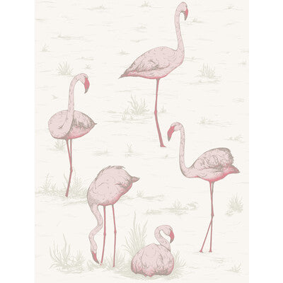 COLE & SON FLAMINGOS PRINT---NOVELTY SPRING/LIME   - 95/8045.CS.0