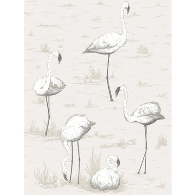 COLE & SON FLAMINGOS PRINT---NOVELTY CHARCOAL/WHT   - 95/8046.CS.0