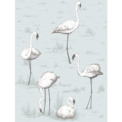 COLE & SON FLAMINGOS PRINT---NOVELTY COBALT   - 95/8047.CS.0