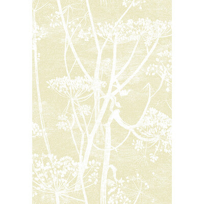 COLE & SON COW PARSLEY --BOTANICAL & FLORAL- IVORY/STONE   - 95/9053.CS.0