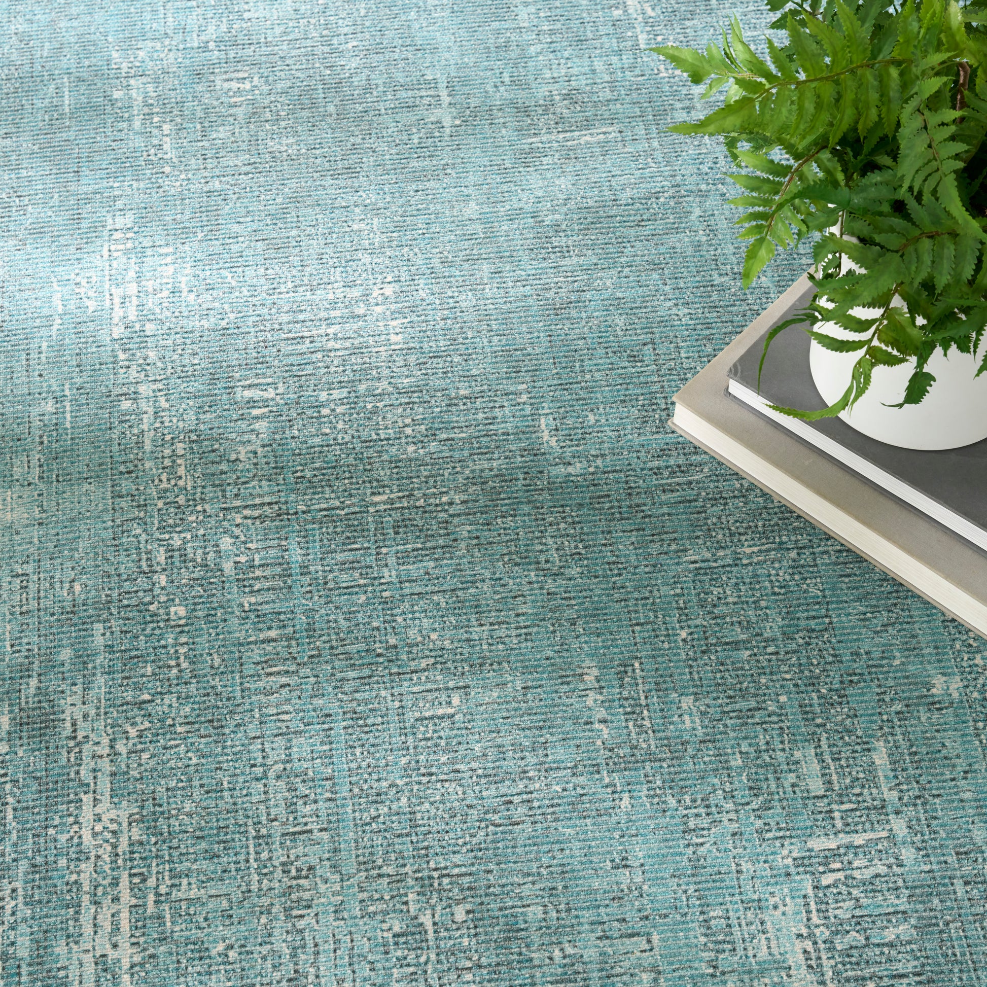 Teal blue distressed-pattern area rug with a worn motif; white planter with a green fern on stacked books.