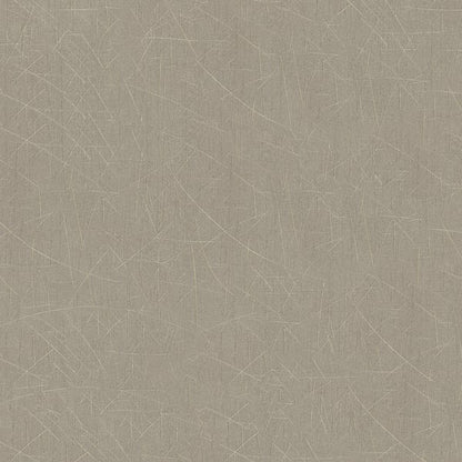 Galerie Wallcoverings Earth Scored Galerie Wallcoverings  Bronze, Brown   - EA99143