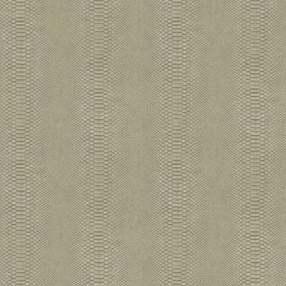 Galerie Wallcoverings Earth Snake Skin Galerie Wallcoverings  Bronze, Brown   - EA99179