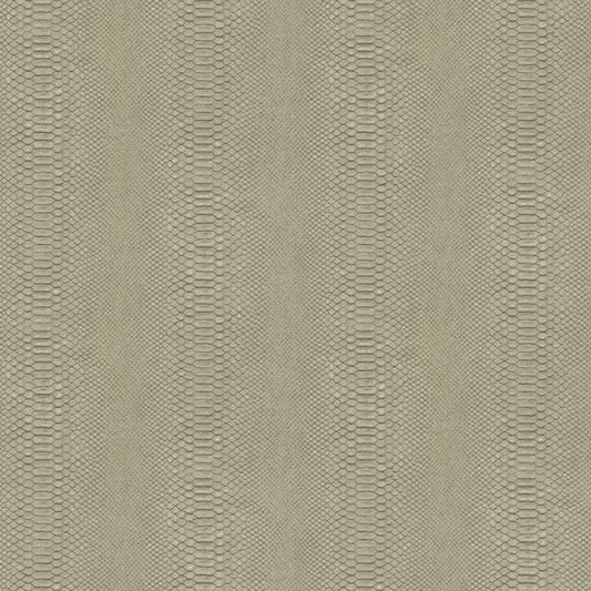 Galerie Wallcoverings Earth Snake Skin Galerie Wallcoverings  Bronze, Brown   - EA99179