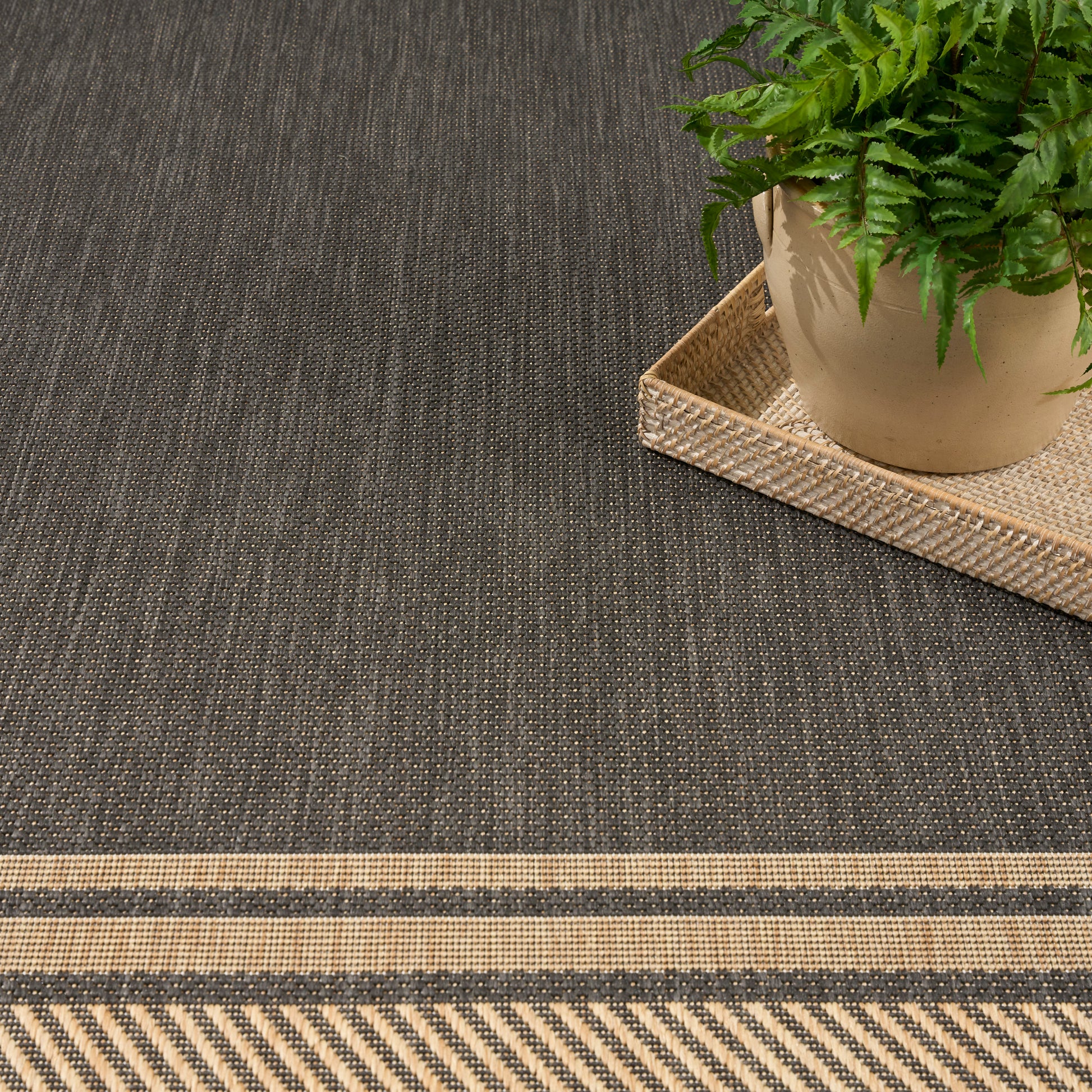 Dark charcoal woven rug with beige border and striped edging; potted green plant on a natural wicker tray.