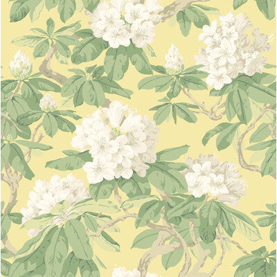 COLE & SON BOURLIE PRINT--BOTANICAL & FLORAL- BAMBOO   - 99/4021.CS.0