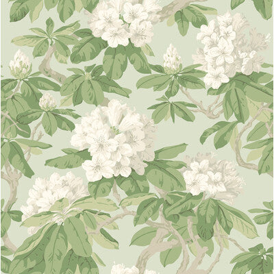 Cole & Son - Bourlie Duck Egg (99/4022-CS) Wallpaper