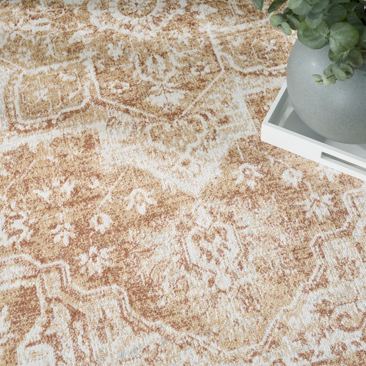 Beige oriental rug with cream floral patterns; white tray holding a gray planter with a green plant.