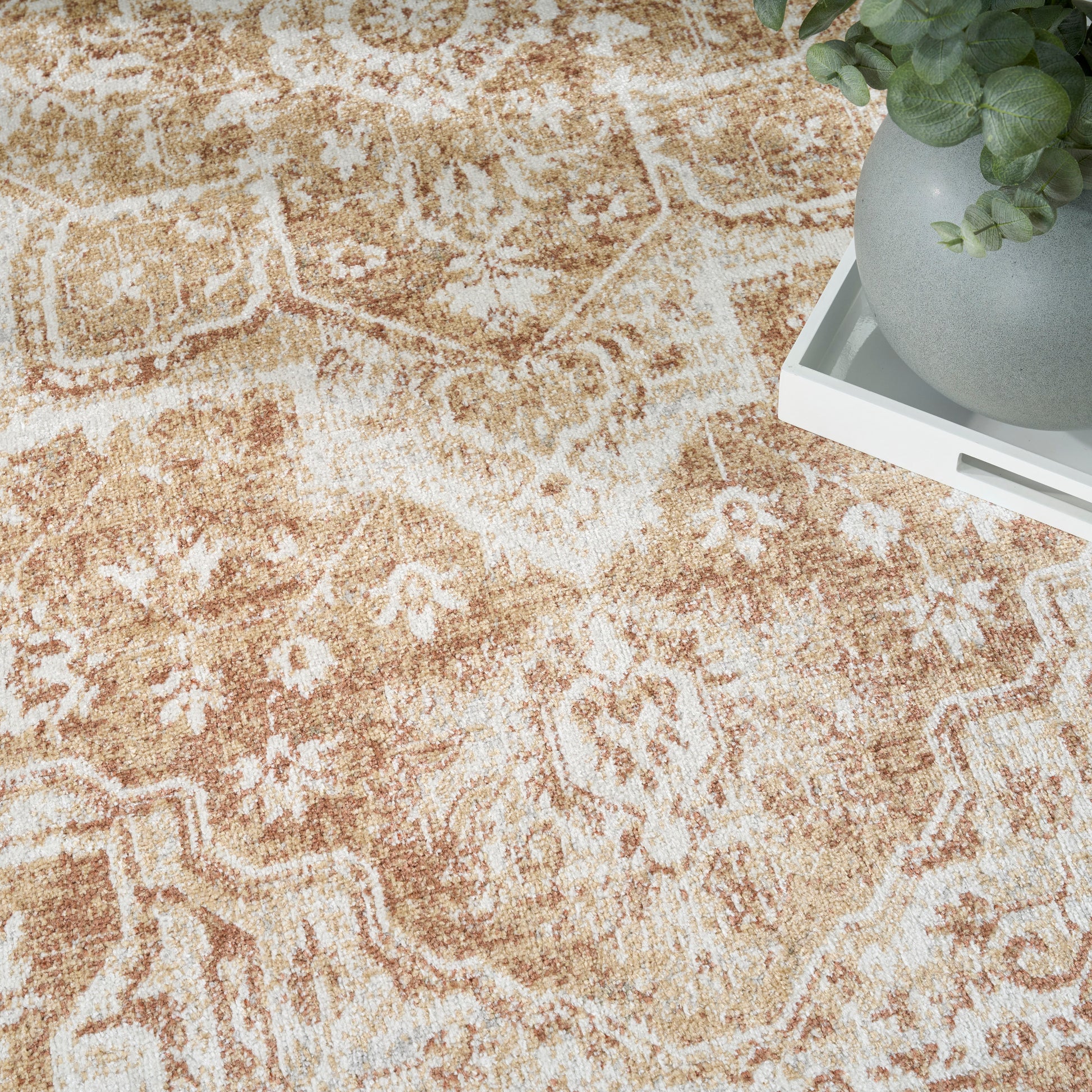 Beige oriental rug with cream floral patterns; white tray holding a gray planter with a green plant.