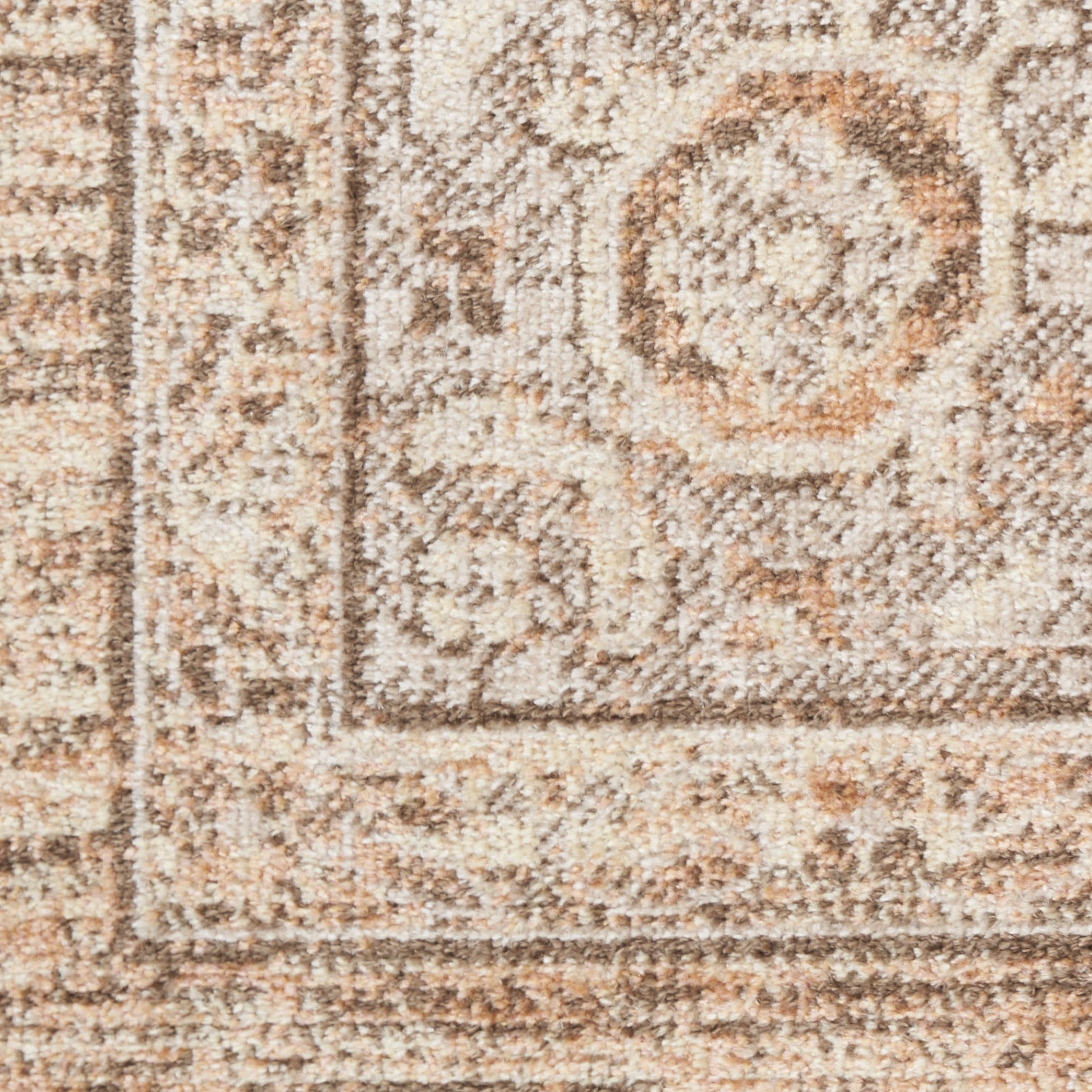 Beige-tan ornate rug close-up with floral medallions and textured pile.