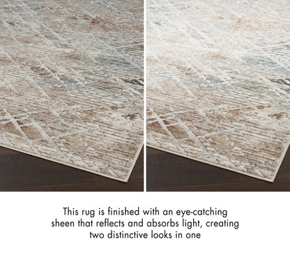 Beige-gray abstract rug with light-reflecting sheen; darker and lighter finishes create two looks in one.