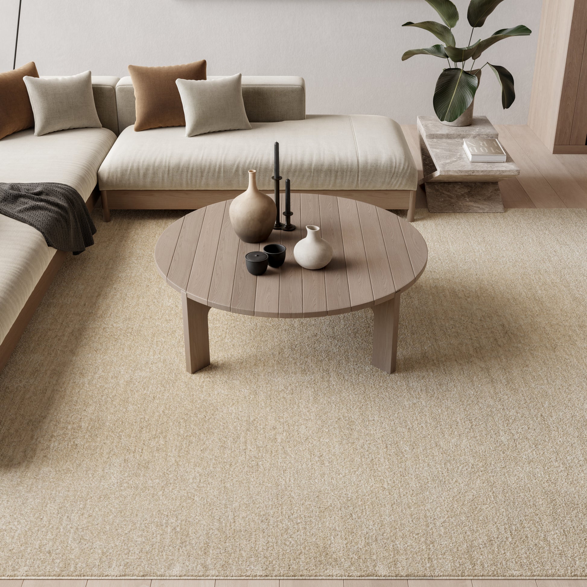 Beige vintage rug, 8' x 10', in a living room setting with neutral decor.