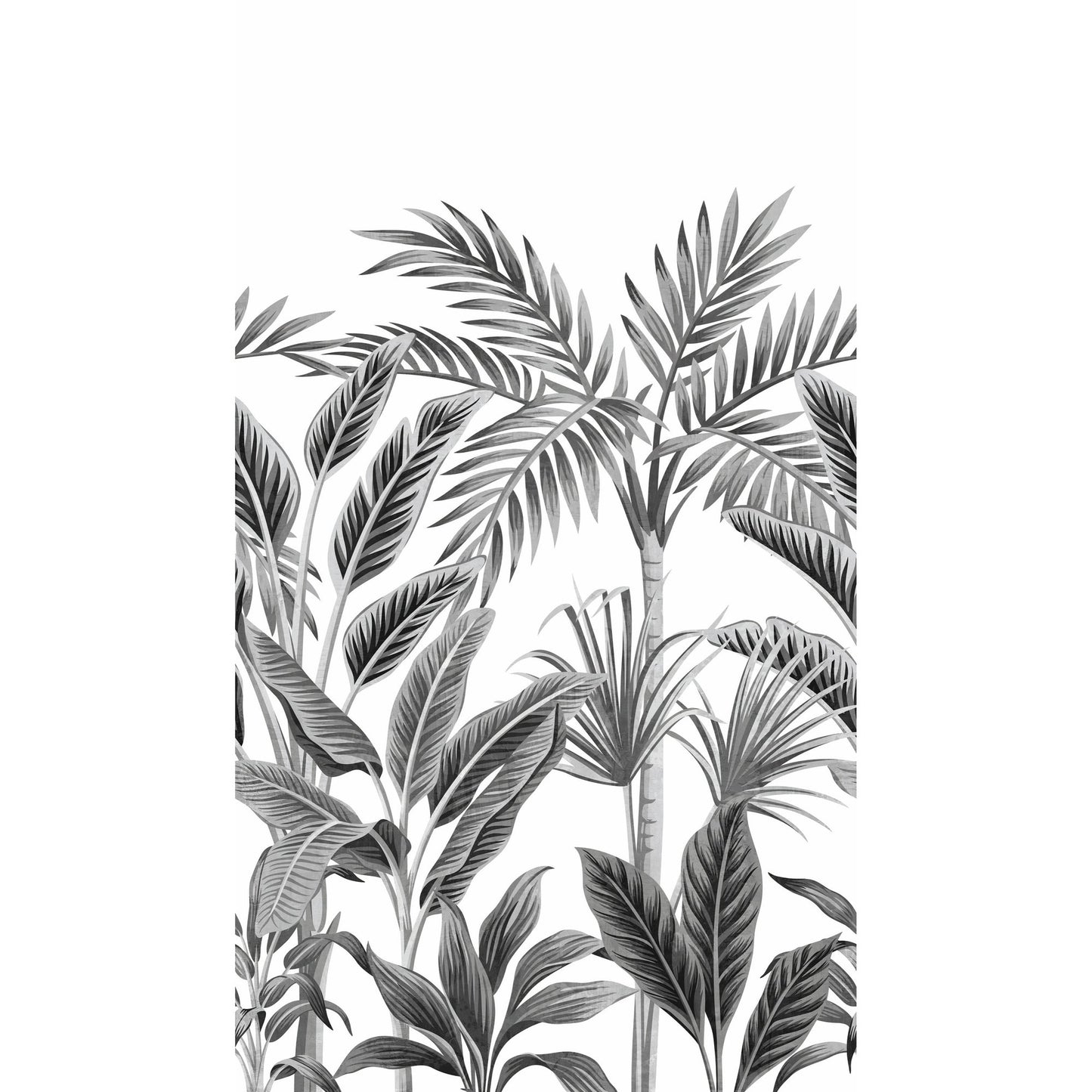 GALERIE WALLCOVERINGS Orom II Branched, Leaves, Motive   Black   - A40801