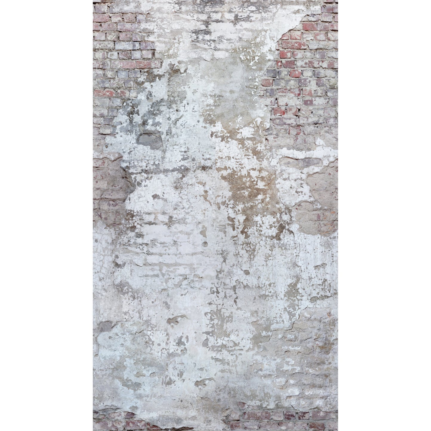 GALERIE WALLCOVERINGS Orom II Photographic, Motive   White   - A42301