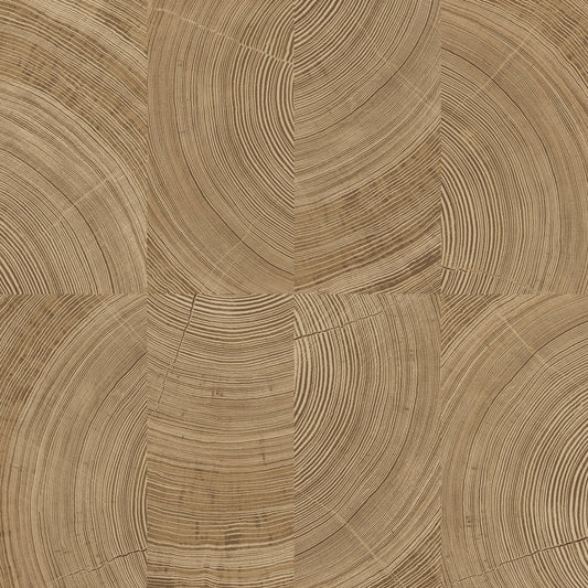 GALERIE WALLCOVERINGS Karuna Photographic, Motive   Brown   - KRA69102