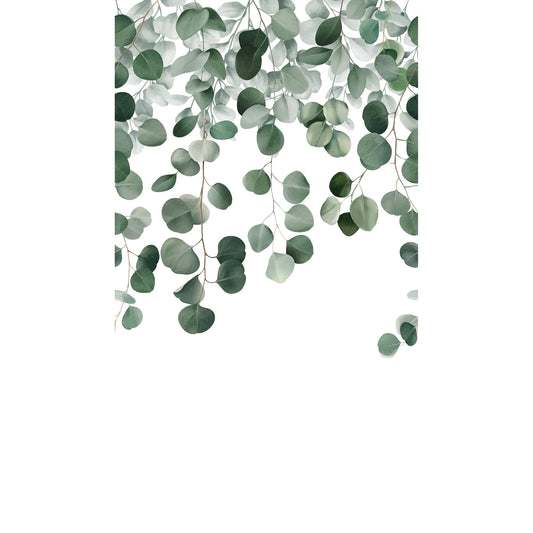 GALERIE WALLCOVERINGS Orom II Photographic, All-over, Print   Green   - A73201