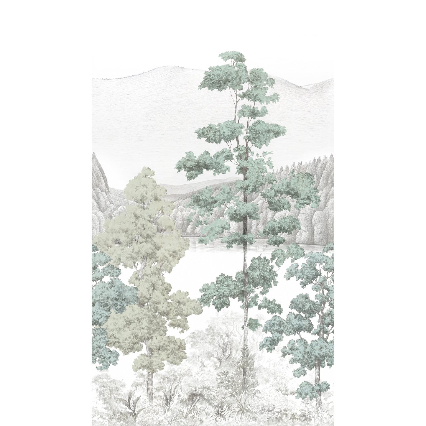 GALERIE WALLCOVERINGS Orom II Photographic, All-over, Print   Green   - A73701