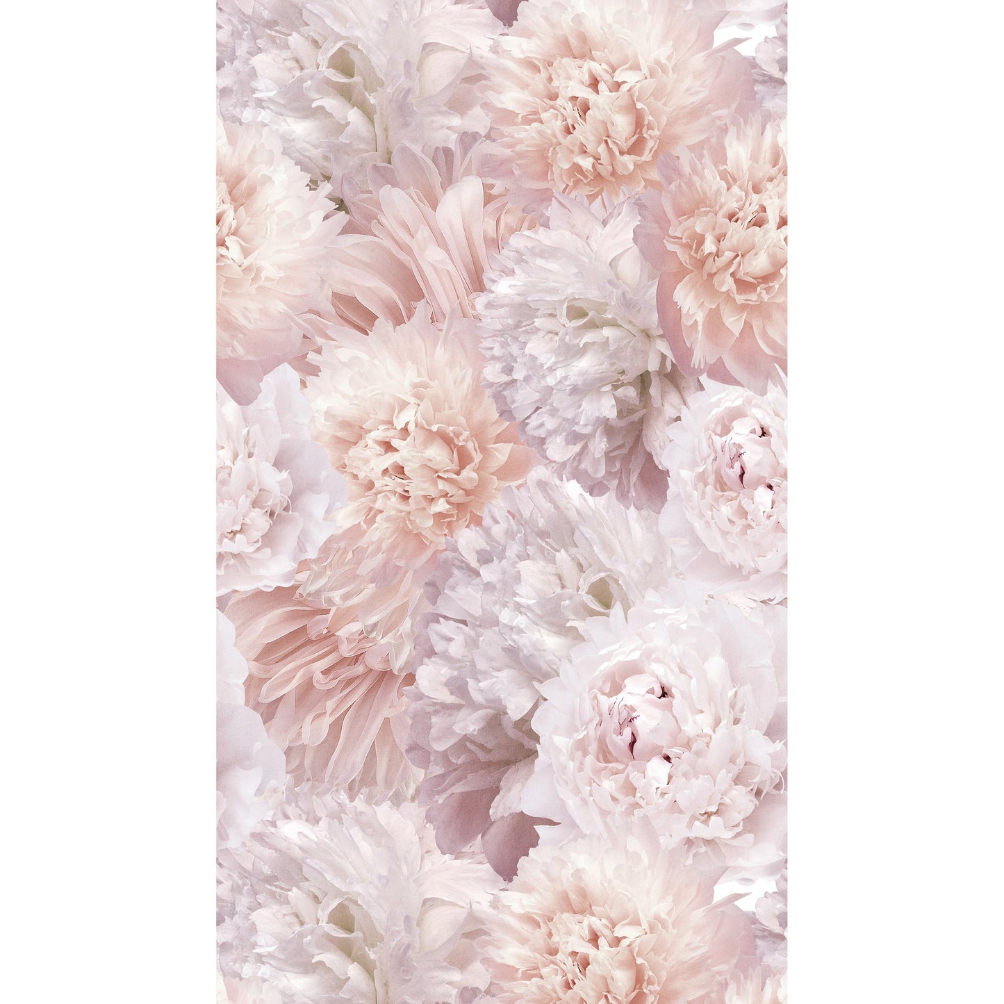 GALERIE WALLCOVERINGS Orom II Classical, Floral, All-over   Pink   - A77501