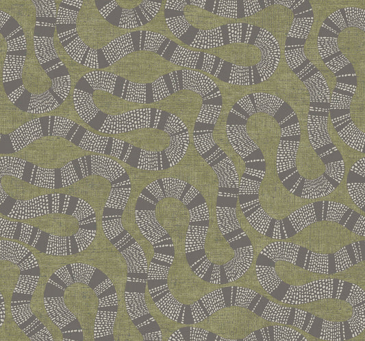 York Wallcoverings Artifacts Ophidia Olive Wallpaper Eclectic Novelty Greens  Wallpaper - AB3005