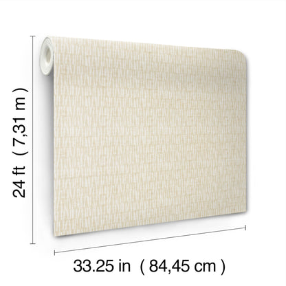 York Wallcoverings Artifacts Thatched Taupe Wallpaper Modern Grasscloth Beiges  Wallpaper - AB3041