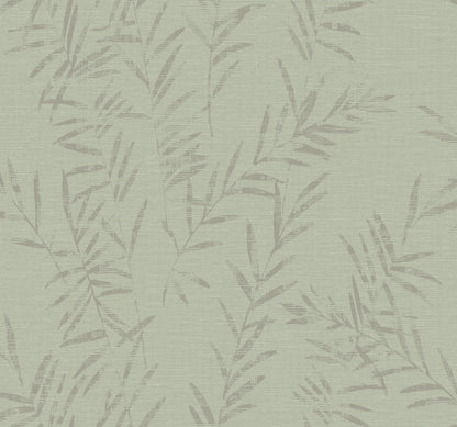 York Wallcoverings Artifacts Allerton Bamboo Sage Wallpaper Transitional Botanical Greens  Wallpaper - AB3064