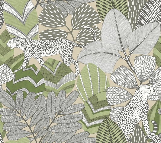 York Wallcoverings Artifacts Namiri Green Wallpaper Eclectic Tropical Greens  Wallpaper - AB3114