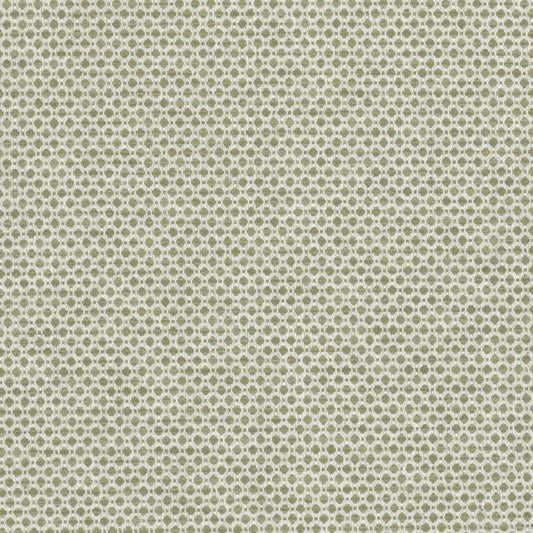 STOUT TEXTILES  UPHOLSTERY,WOVENS TRADITIONAL, CIRCLE APPLE,SEEDLING,SPRING   - ABLO-2